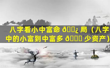 八字看小中富命 🌿 局（八字中的小富到中富多 🐟 少资产）